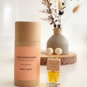 Car Diffuser – Citrus & Spice
