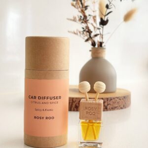 Car Diffuser – Citrus & Spice