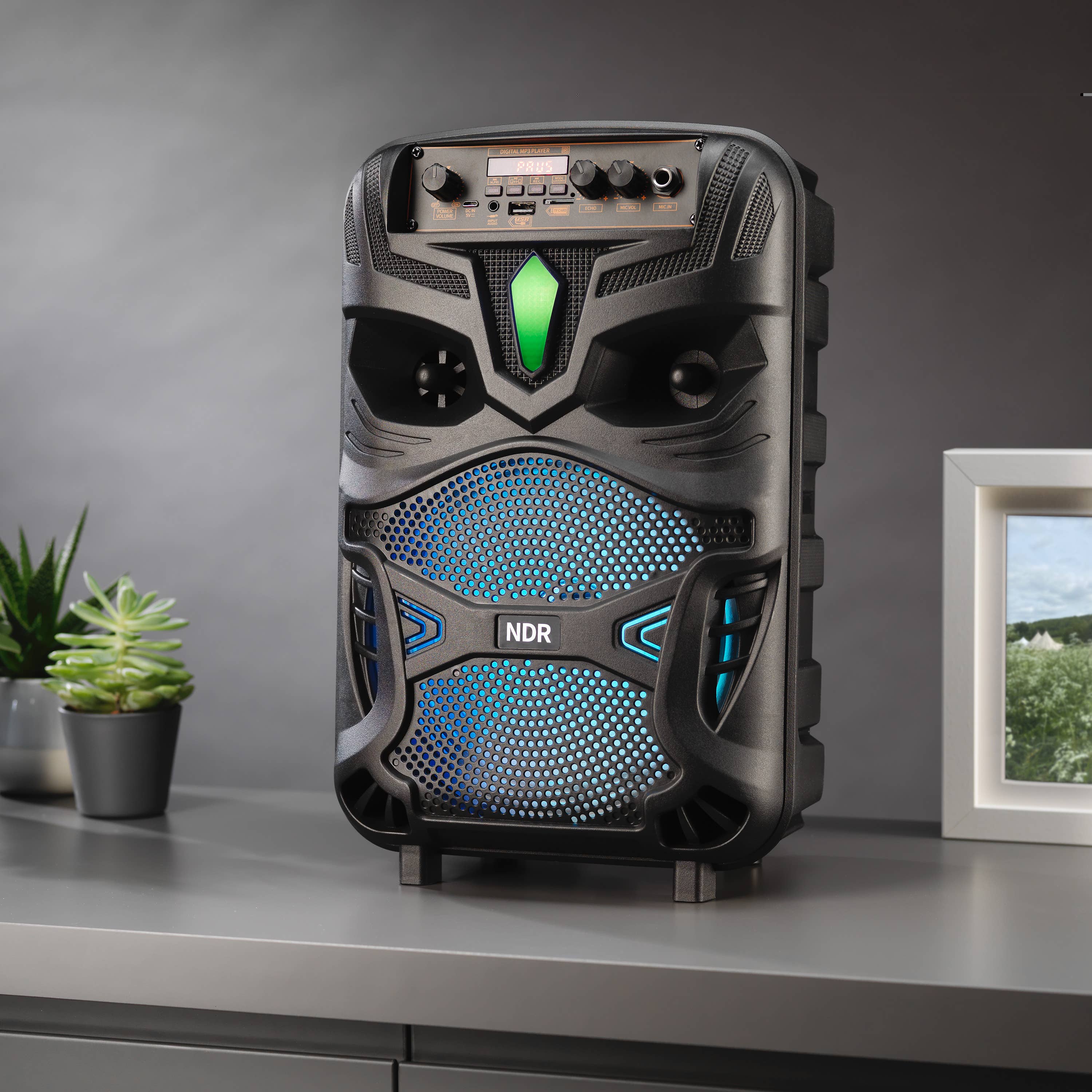 Wireless Karaoke Speaker with Mic
