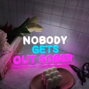 NOBODY GETS OUT SOBER Neon Sign